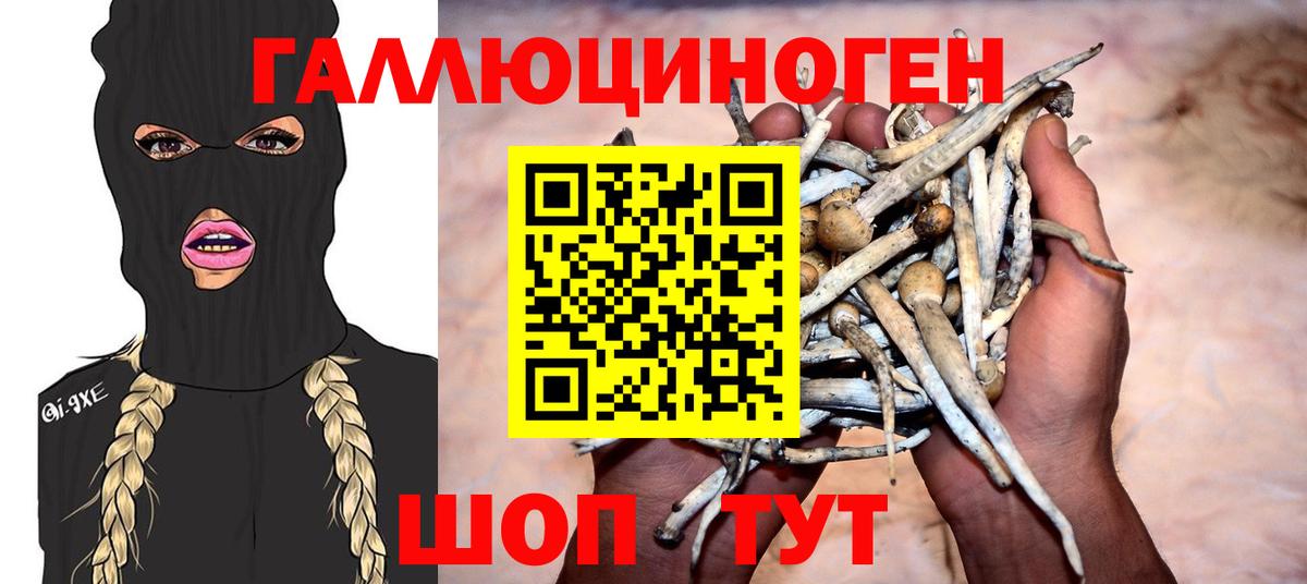 Галлюциногенные грибы MAGIC MUSHROOMS  Вход с VPN  Ангарск  Галлюциногенные грибы Magic Shrooms 